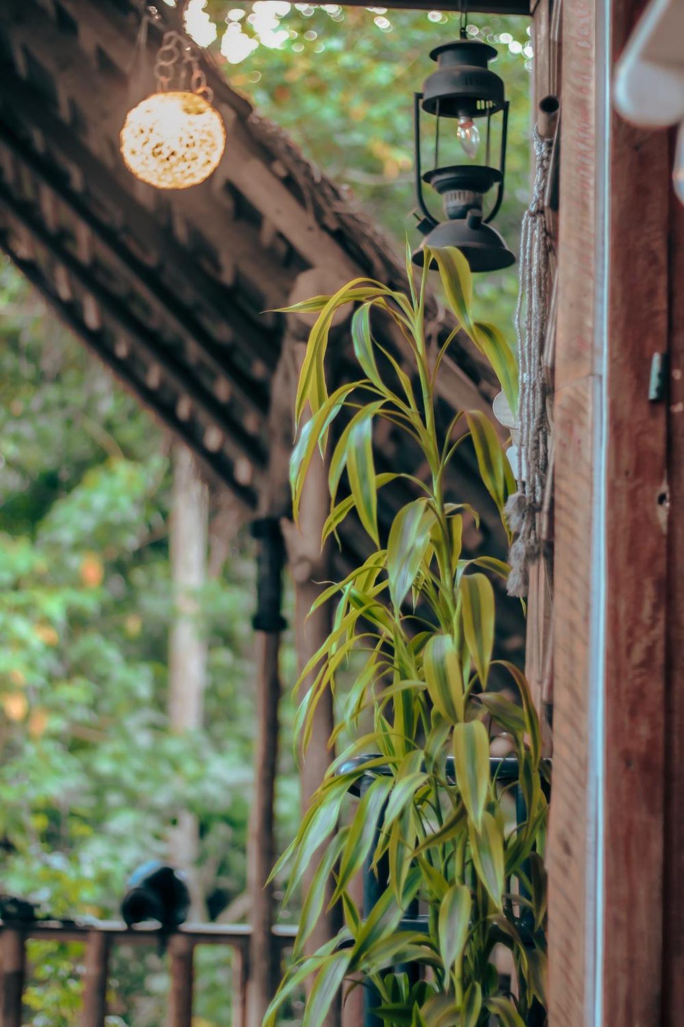 Hostal Tree House Ella Esterno foto